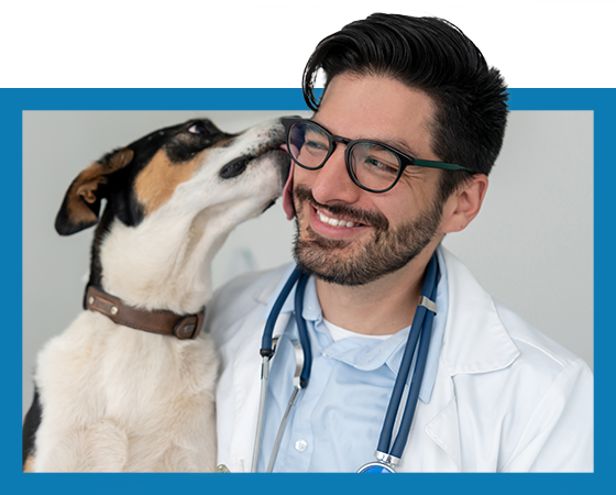 Veterinarian smiling while a dog licks his face with a blue border 
