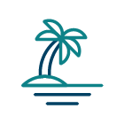 palm tree