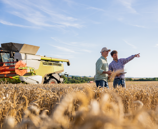 Men discuss farm in wheat field with a combine in the background.